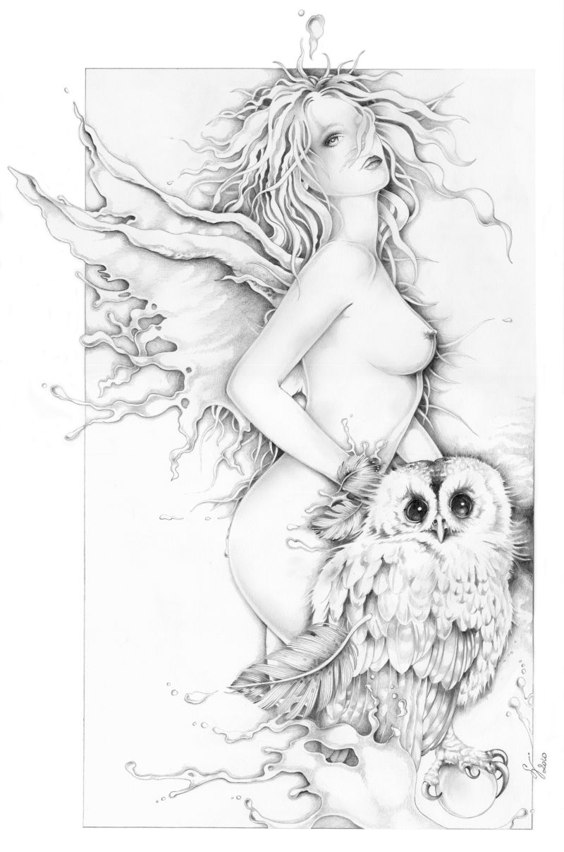 Wings of Night 50x 70 cm