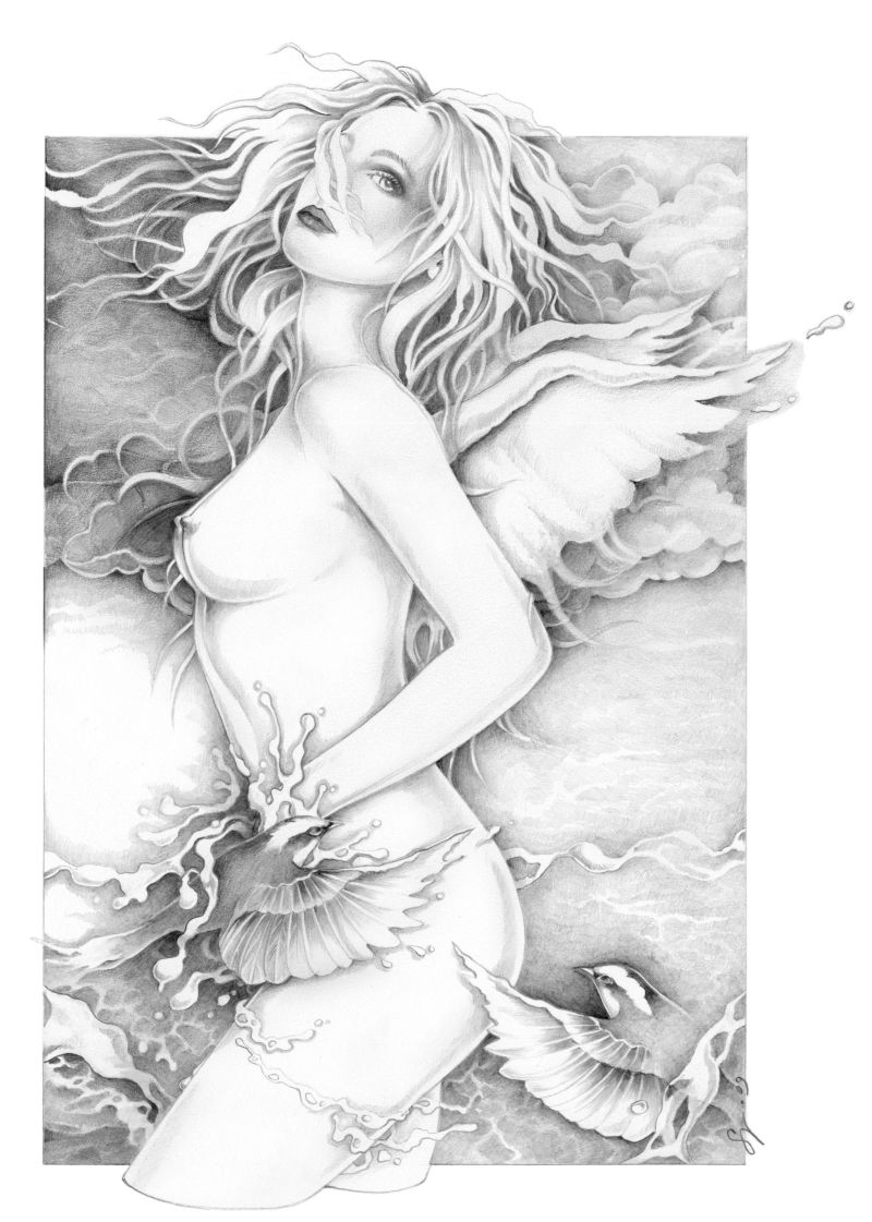Wings of Day 30x40 cm